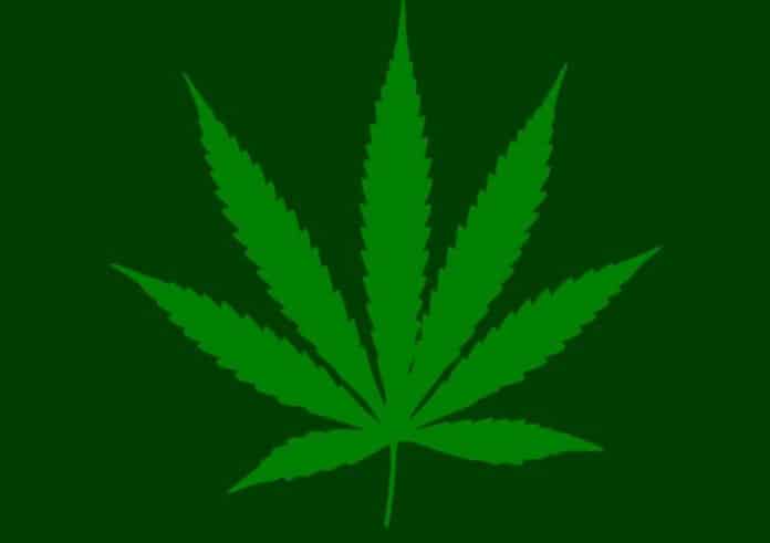 cool weed gifts