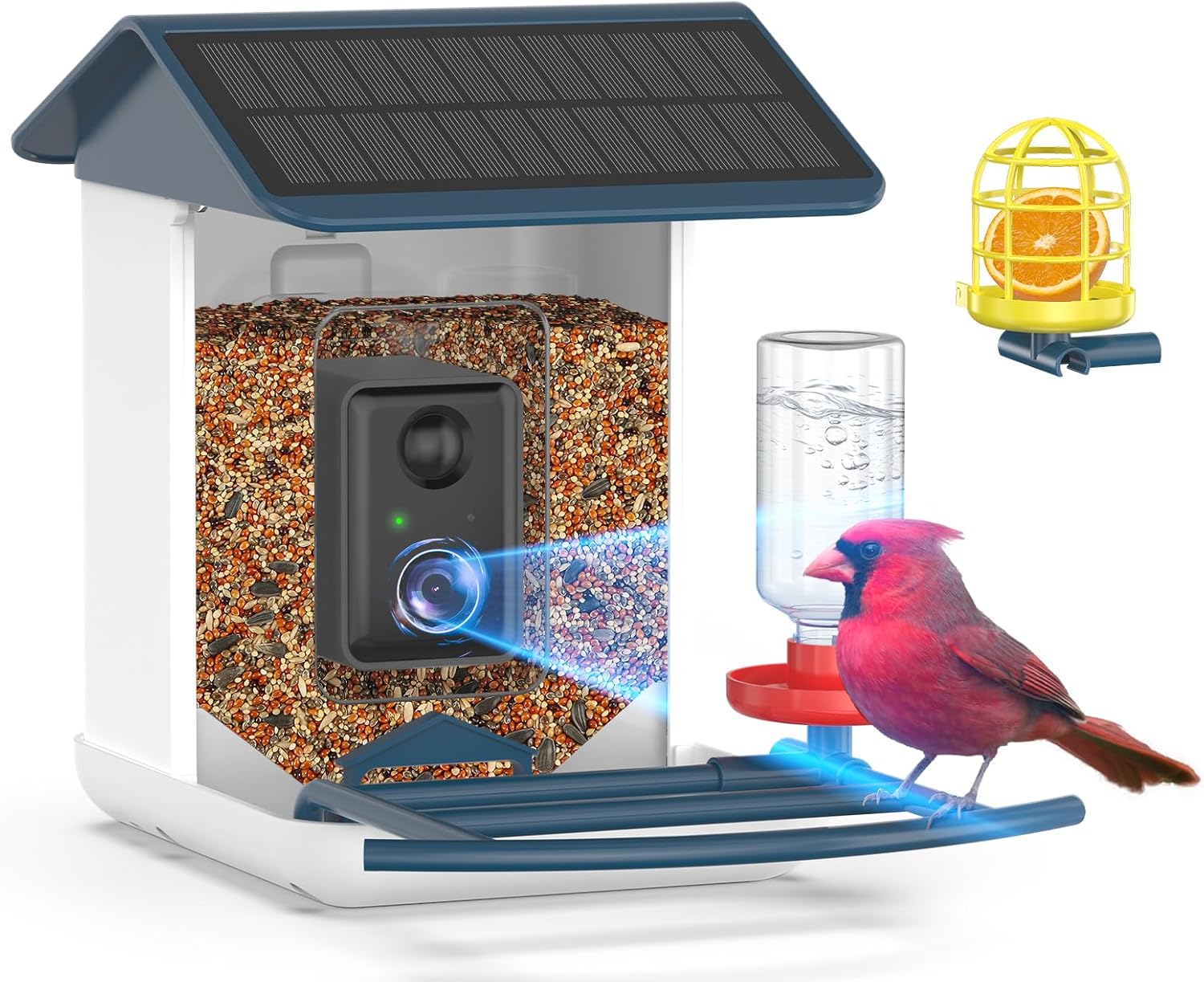 Smart Bird Feeder w/ Camera