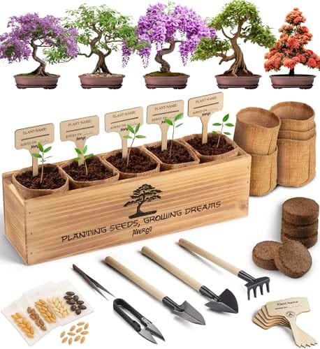 AVERGO Bonsai Tree Kit