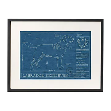 Custom dog breed blueprint wall art