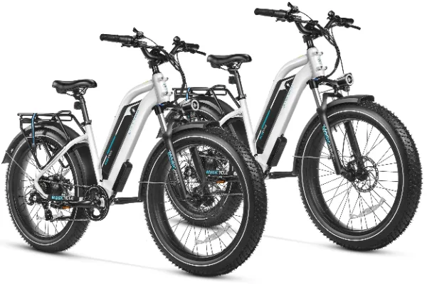 Magicycle Cruiser Pro e-bike, 2-bike bundle